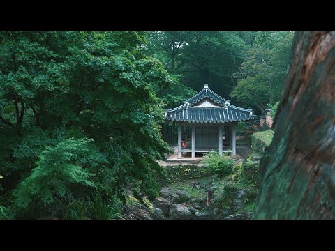[빗소리 ASMR] 민간원림 정원 담양 소쇄원, 아름다운 풍경속에 비가 내리면...