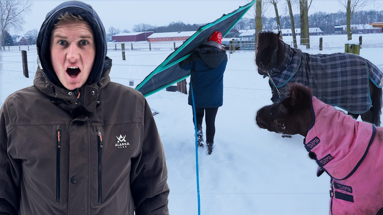 Wir RETTEN die SHETTYS vor dem SCHNEESTURM