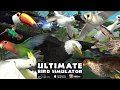 Ultimate Bird Simulator: Game Trailer for iOS and Android