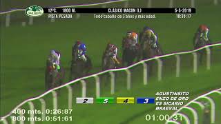 ES SICARIO (Clásico Macon (L), Hipódromo de San Isidro 05/05/19)