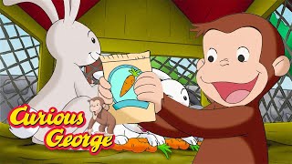 how do you grow carrots curious george kids cartoon kids movies