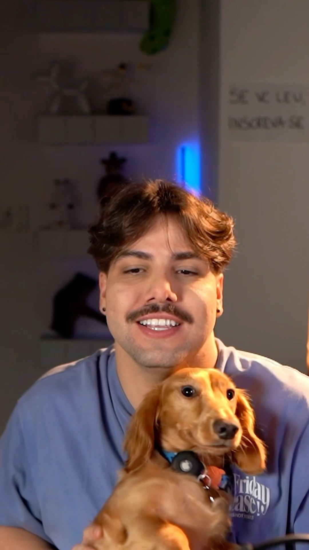 Sim, esses animais estão falando