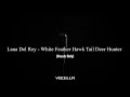 Lana Del Rey White Feather Hawk Tail Deer Hunter Acapella Vocals Only 