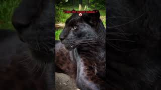 Rarest animals on earth🌎#ayananimalworld#animal#shorts