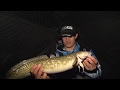 Discovering - Night fishing for Burbot, UnderIce Bait Bag