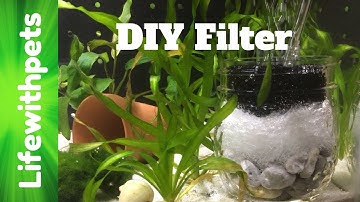How To Make a DIY Sponge Filter for a Betta Fish Tank.