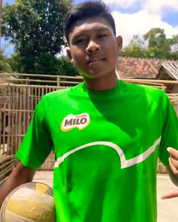 story WA ogis tectona