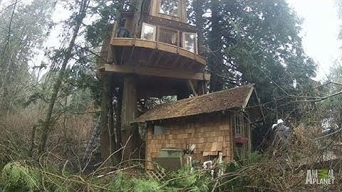 Time Lapse: Record High Recording Studio | Treehouse Masters