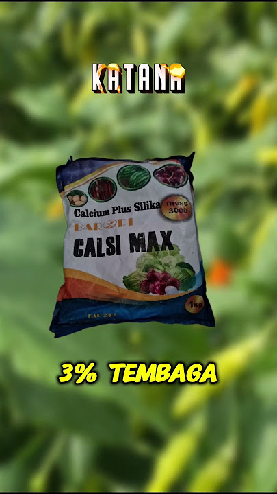 4 Pupuk Kalsium Silika dan 4 Kalium Silika Pelindung Tanaman Cabe