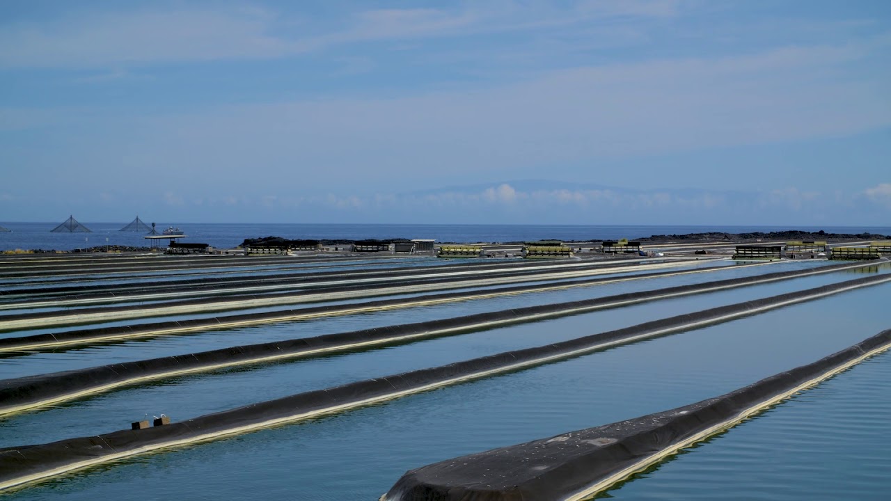 Hawaii Ocean Science and Technology Park (HOST Park) video