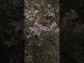 Verlassen - [ Geschichten &amp; Poesie ] - Amdisia