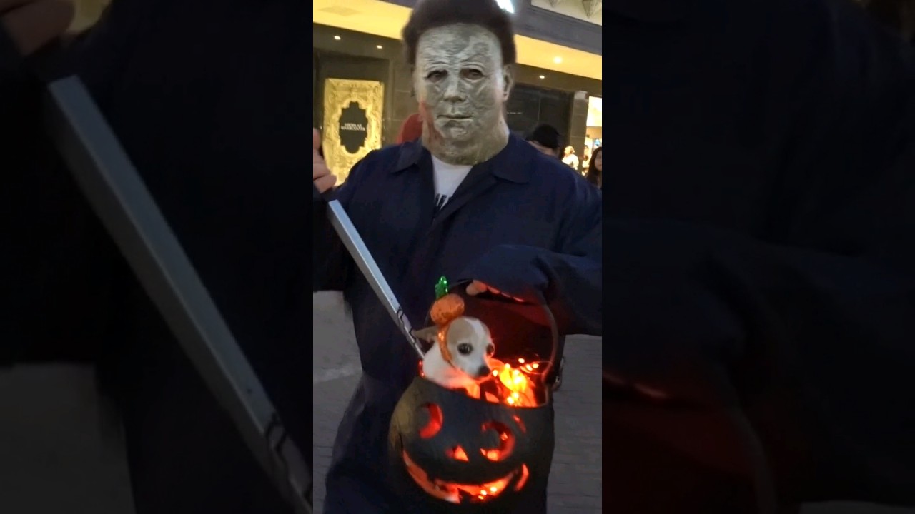 Michael Myers and his Attack Dog #shorts