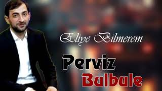 Perviz Bulbule - Eliye Bilmerem 2023 (Yeni Mahni) Meyxana Remix