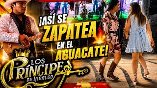 Huapangos en el Aguacate Cadereyta Qro 2026 con los Principes de Hidalgo 