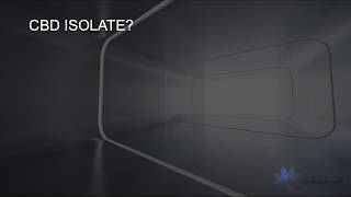 What is CBD Isolate? - CBD Answers