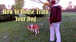 Pawsitive Partners - House Training Dogs