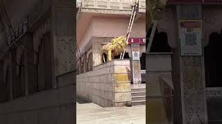 Ratangarh Mandir