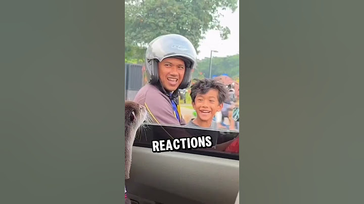 "The Cutest Face You'll See at a Traffic Signal"
