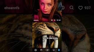 Få Visuell Inspirasjon På Minutter