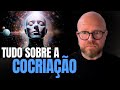 TUDO SOBRE  A COCRIAÇÃO: O Segredo Que Transforma Sua Realidade  |  Leo Schneebeli