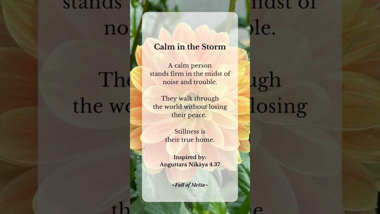 Day 13 - Calm in the Storm