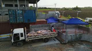 TYCG Swine Farm