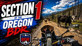 We Found Dirt, Section 1, Oregon BDR  Episode 3