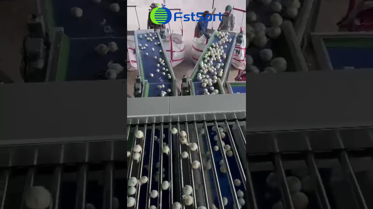 Onions Grading Machine ; Onions Sorting Machine; Onions grader; Onions Sorter; Vegetables Sorter