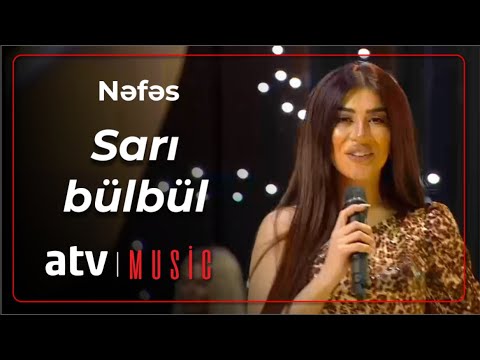 Nəfəs - Sarı bülbül