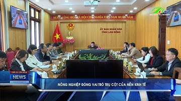 Nông nghiệp đóng vai trò trụ cột của nền kinh tế | Báo và PTTH Lâm Đồng