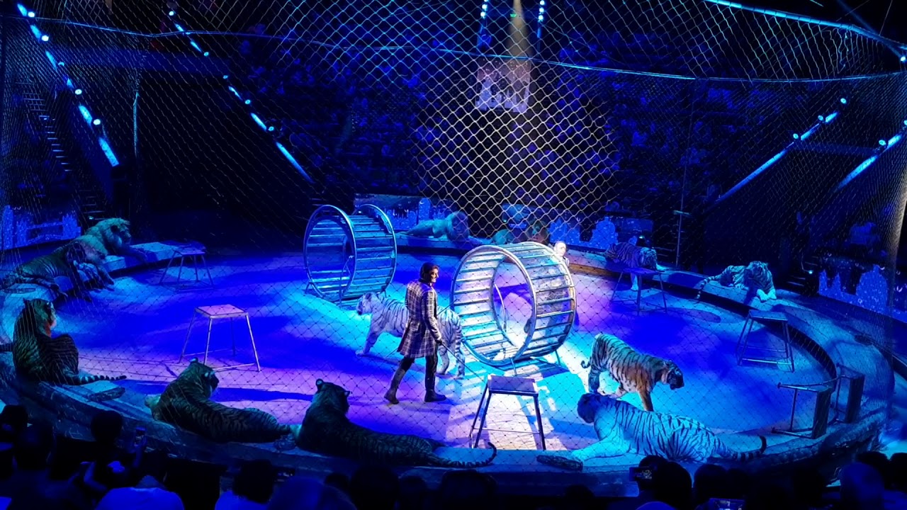 ⁣Circus Russian in  Moscow «Эпицентр Мира» 07.07.2018