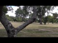 Manawatu River to Maxwell's Line - 4K
