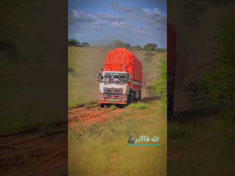 نيالا سنقو السودان نيالا دارفور