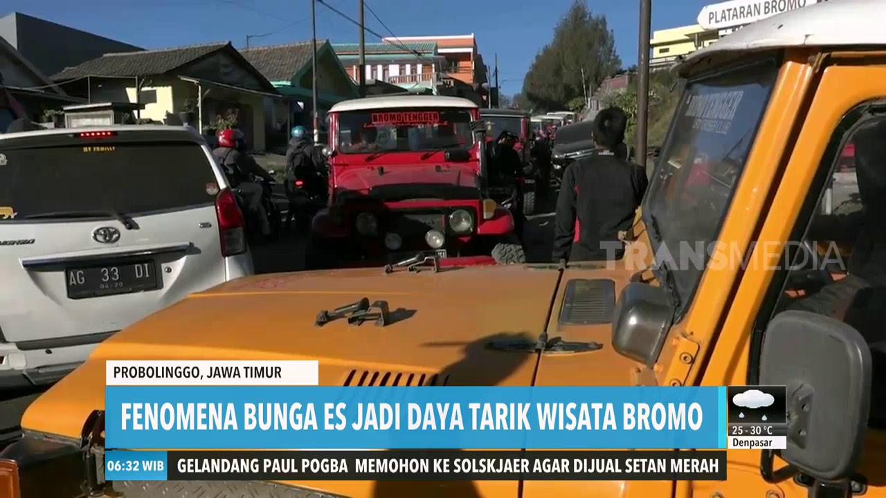 Bunga Es Daya Tarik Wisata Bromo video phone beyonce mp3