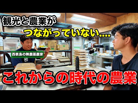 沖縄の離島の無農薬お米農家さんに農業について色々聞いてみた【日本旅 西表島編③】