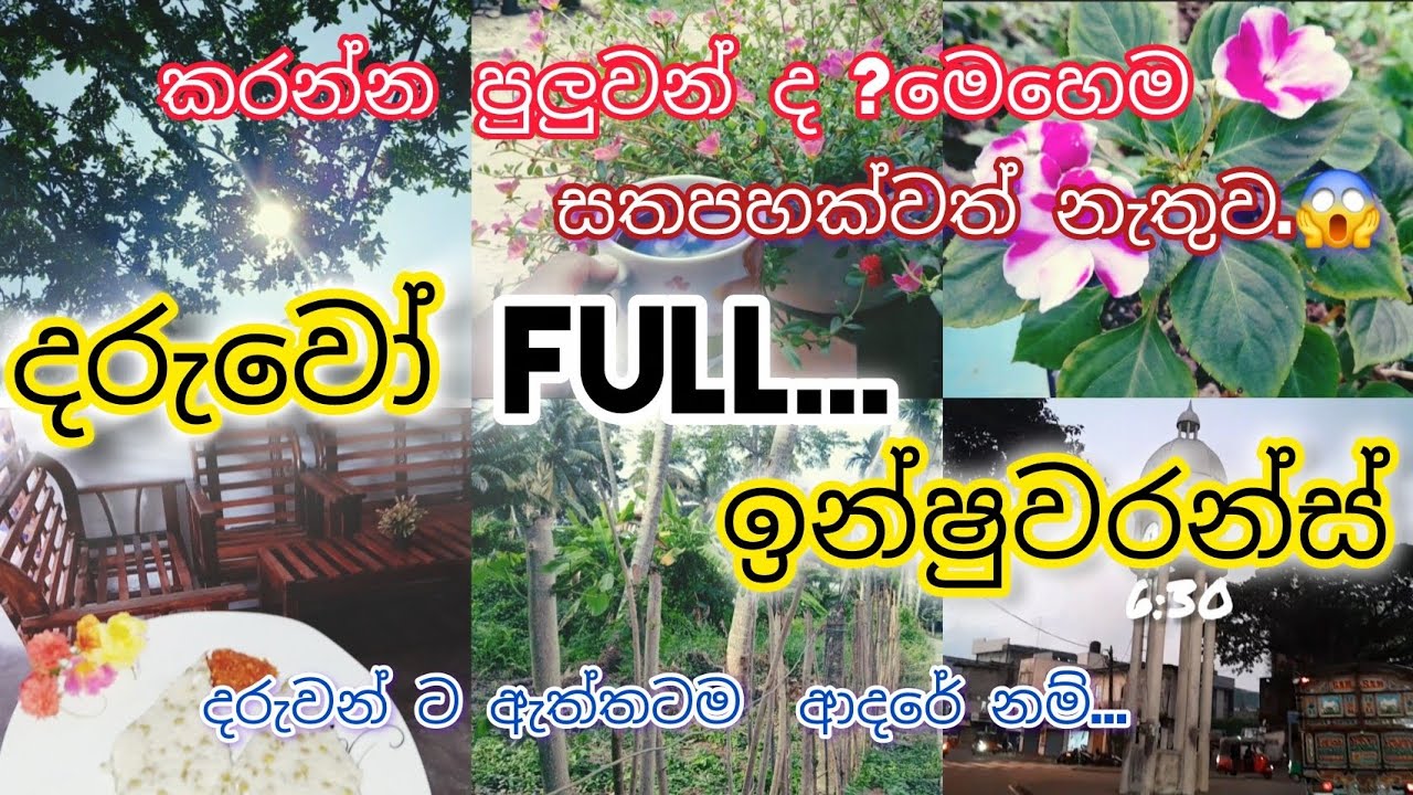 😱🌿සතපහක්වත් වියදම්  නොවී දාමු full ඉන්ෂුවරන්ස් එකක්...#full #free #🎁🌿