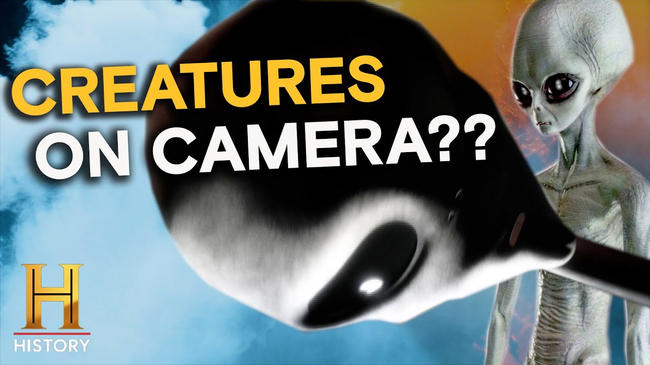 Documentary backdrop image for They Saw the Unseen-And Caught It on Camera (2025)