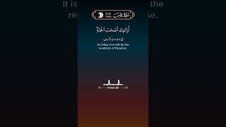Surah yunus verse 26