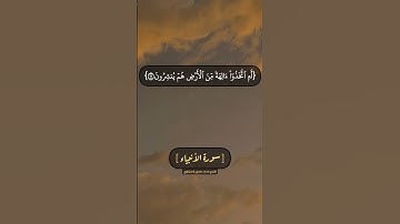 سورة الأنبياء الآية ٢٠ الى ٢٣ بصوت الشيخ محمد صديق المنشاوي