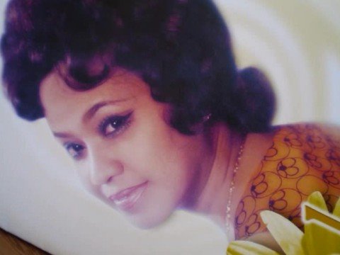 SALOMA - Alonan Biola