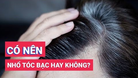 NHỔ TÓC BẠC có nên hay không  Những tác hại mà bạn cần biết