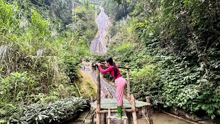 Buil log cabin in the rainforest, Camp alone, cook and relax 2024