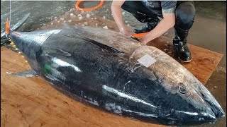 600磅!巨大黑鮪魚切割達人,生魚片背鮨料理/Amazing Giant bluefin tuna cutting Master , Sashimi-台灣街頭美食