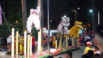 Xem Múa Lân Cực Hay Tại Công Viên Tao Đàn