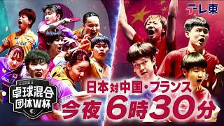 【今夜6時30分】全勝のニッポンはいよいよ絶対王者中国と激突！最終戦はルブラン兄弟率いるフランスとの一戦｜ITTF混合団体ワールドカップ2025
