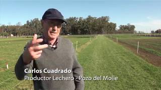 Las alfalfas son la clave del sistema de producción de los Cuadrado