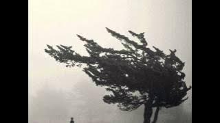 Download lagu Daughter - Home (Tapeboy Remix)