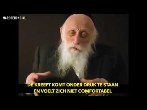 Rabbi Twerski over kreeften en stress