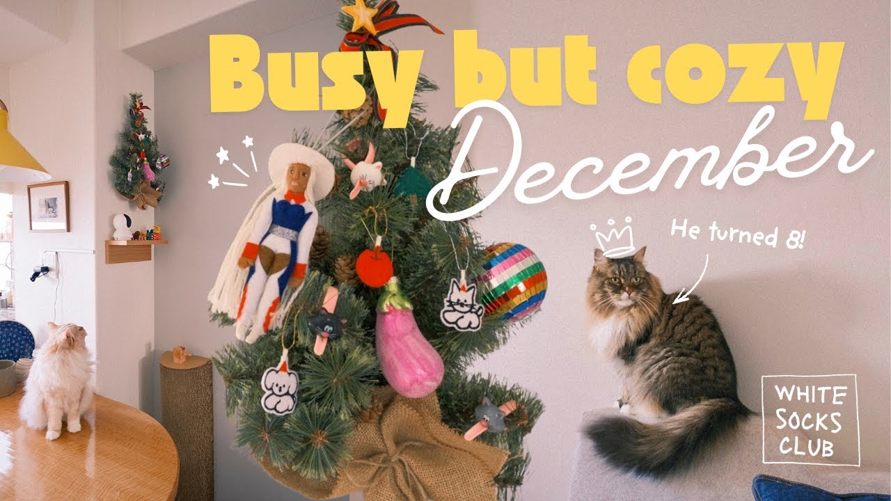 LIFE WITH CATS / VLOGMAS / 猫と過ごすクリスマス