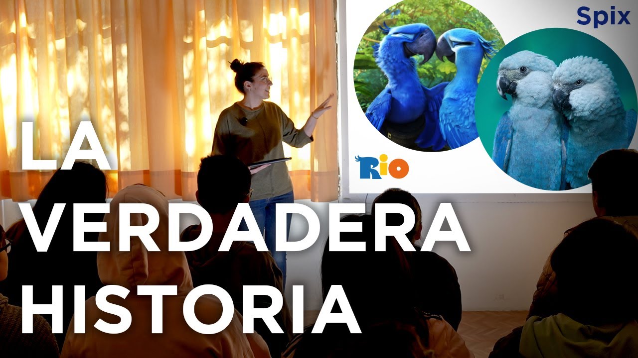 ¡Vente conmigo a CLASE! 👩‍🏫 Charla para la escuela Flor de Maig sobre el Guacamayo de Spix